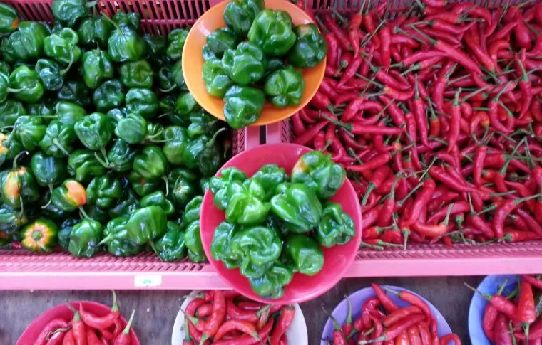 Kuching Bike & Cook